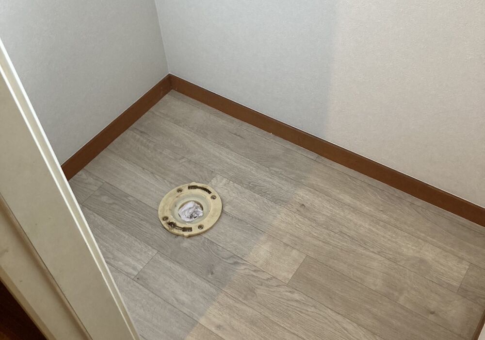 IMG_2313